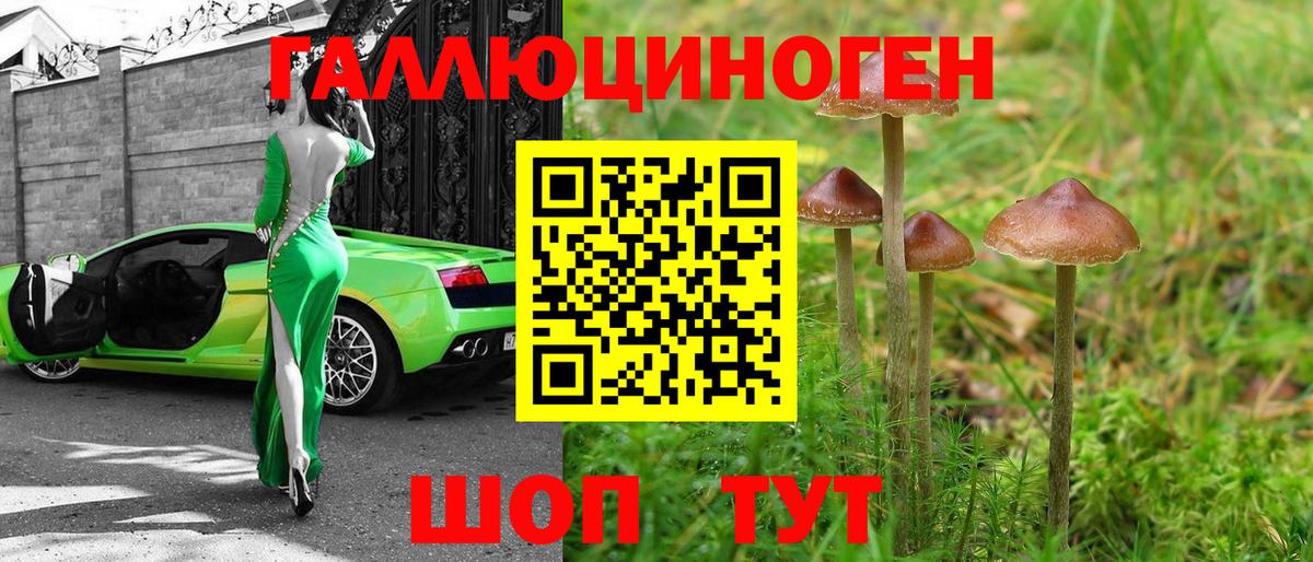 Псилоцибиновые грибы мицелий  купить наркотики сайты  Нижнеудинск  Вход с VPN 